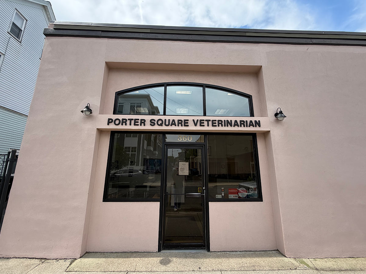 Porter-Square-Veterinarian-building-front-view-IMG_6834-1200x900-1 Exterior front view of the Porter Square Veterinarian building