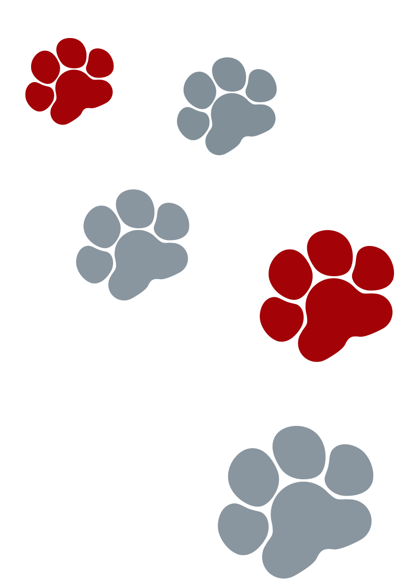 A blue and red trail of paw prints